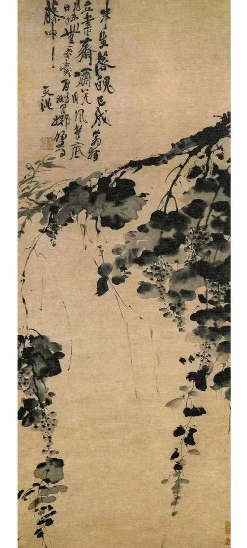 葡萄图-徐渭