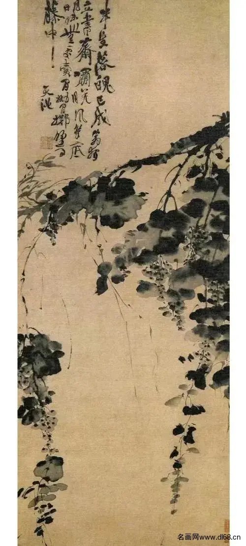 葡萄图-徐渭