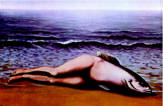 集体发明物-- 马格利特